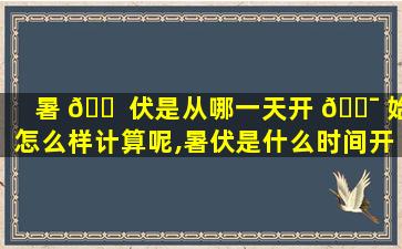 暑 🐠 伏是从哪一天开 🐯 始怎么样计算呢,暑伏是什么时间开始的2021几点